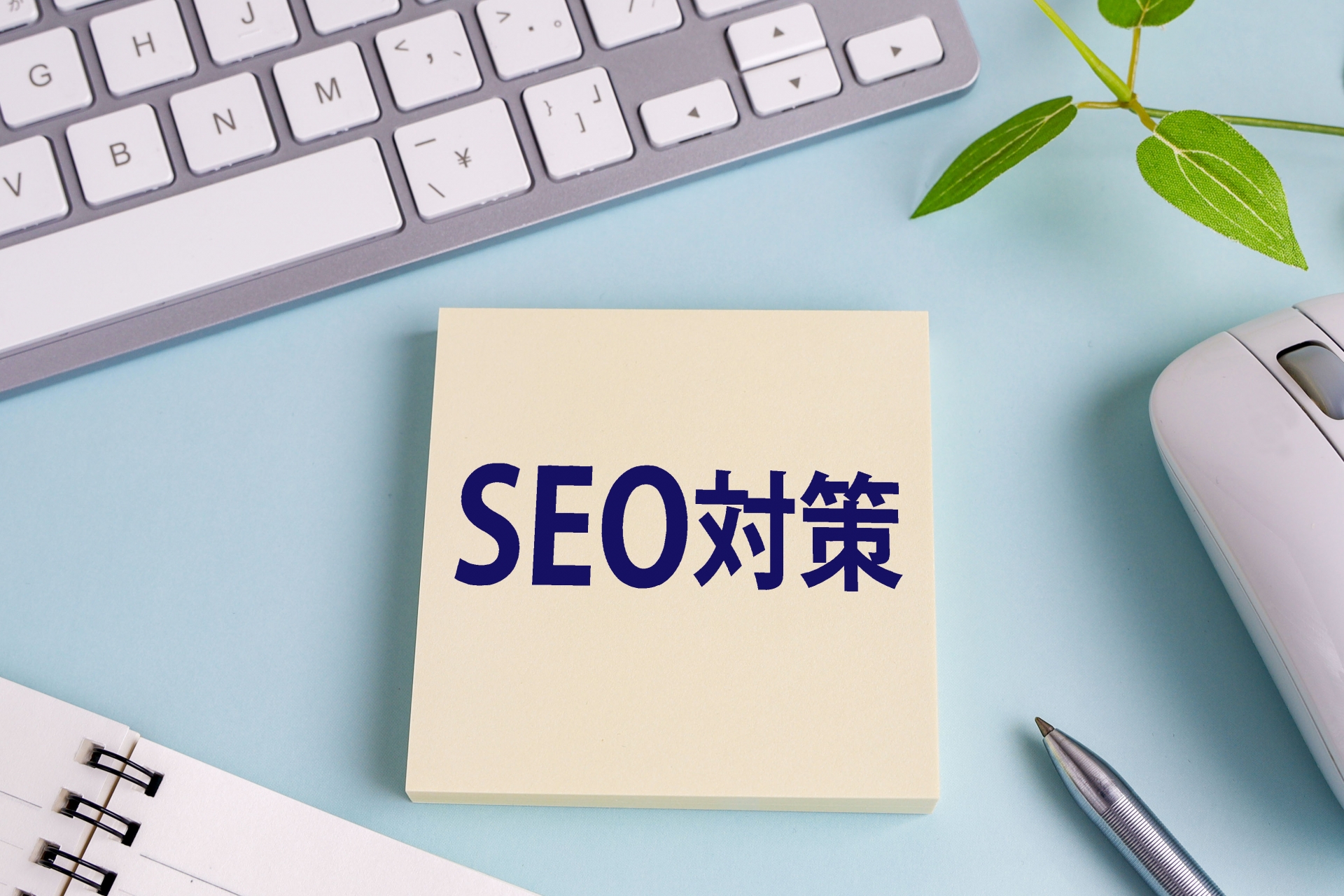 検索対策/SEO